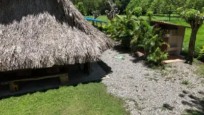 a hut with a straw roof and some plants at Los Potrillos in Mariquita
