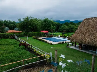 a backyard with a swimming pool and a thatch roof at Los Potrillos in Mariquita