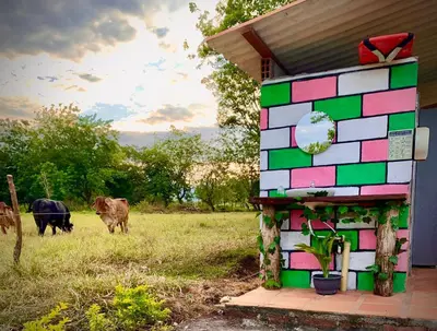 two cows grazing in a field next to a house at Los Potrillos in Mariquita