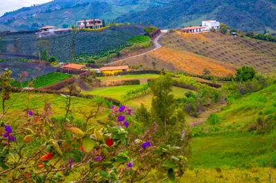 a green hillside with houses and a road on it at Casa de Campo vía El Peñol Guatapé in Marinilla