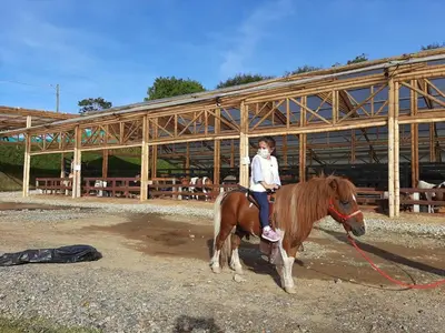 a young boy riding a horse in front of a barn at Casa de Campo vía El Peñol Guatapé in Marinilla
