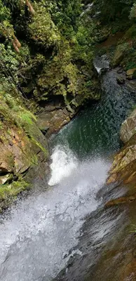 a stream of water rushing down a rocky hillside at Recinto Alfaro in Concepción