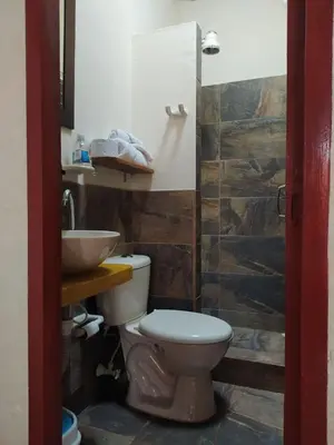 a bathroom with a toilet and a sink at Recinto Alfaro in Concepción