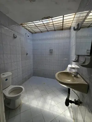 a bathroom with a sink and a toilet at Finca la Querendona in Santa Fe de Antioquia
