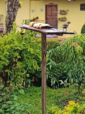 a bird stand with two birds on top of it at Bird House - Apartament in Jardin