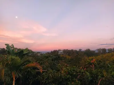 Gallery image of Finca los Martinez - Tamesis - Vereda San Isidro in Támesis
