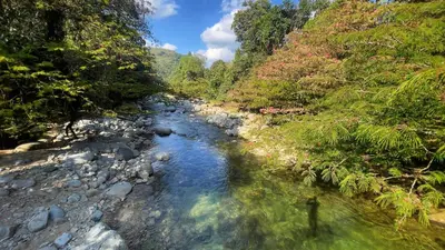 a river in a forest with rocks and trees at Hermosa Casa frente al Río in San Rafael
