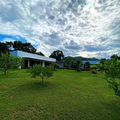 a house in a field with a tree in front of it at Extraordinaria casa con piscina y pura naturaleza Honda in Honda