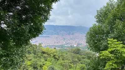 a view of a city from between two trees at Gaston2 in Medellín