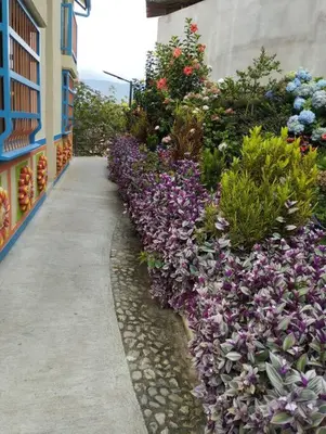 a garden with purple flowers on the side of a building at Apto Nuevo, Tranquilo,Bonito,5 min Plaza Principal in Guatapé