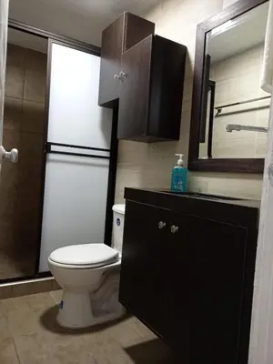 a bathroom with a toilet and a sink and a mirror at Lindo y acogedor apto cerca Mall Hospitales U Autónoma in Manizales