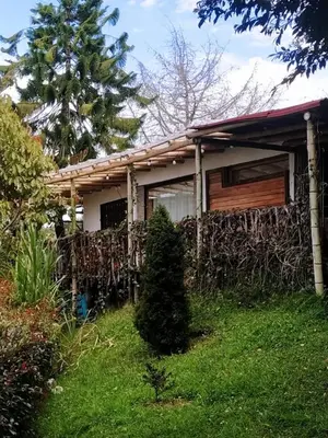 a house with a tree in front of it at Cabaña Luna Verde in San Vicente