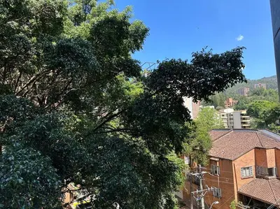 a group of trees in front of a brick building at Exclusivo Loft en el poblado-rodeado de naturaleza 501 in Medellín