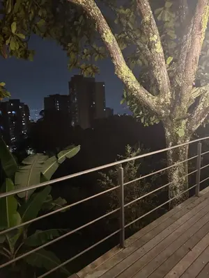 a tree on a boardwalk next to a fence at Loft bambu in Envigado
