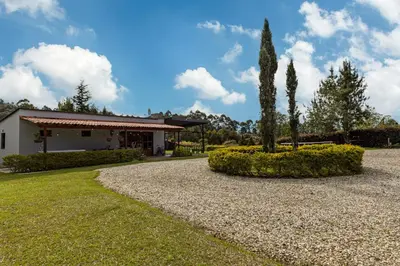 a house with a cypress tree and a gravel driveway at Buho Cabaña Santa Elena in Santa Elena
