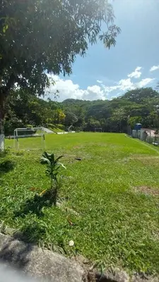 a field of grass with a palm tree in it at Cabaña Campestre in La Pintada