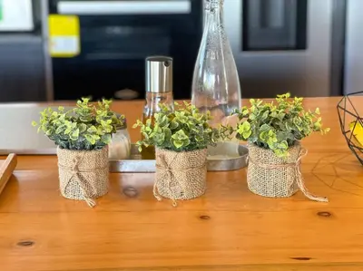 three potted plants sitting on top of a table at Amazing country house! in Rionegro