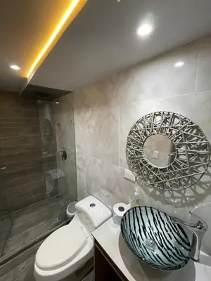 a bathroom with a toilet and a mirror at Sage house de 2 alcoba la 70 laurles estadio in Medellín